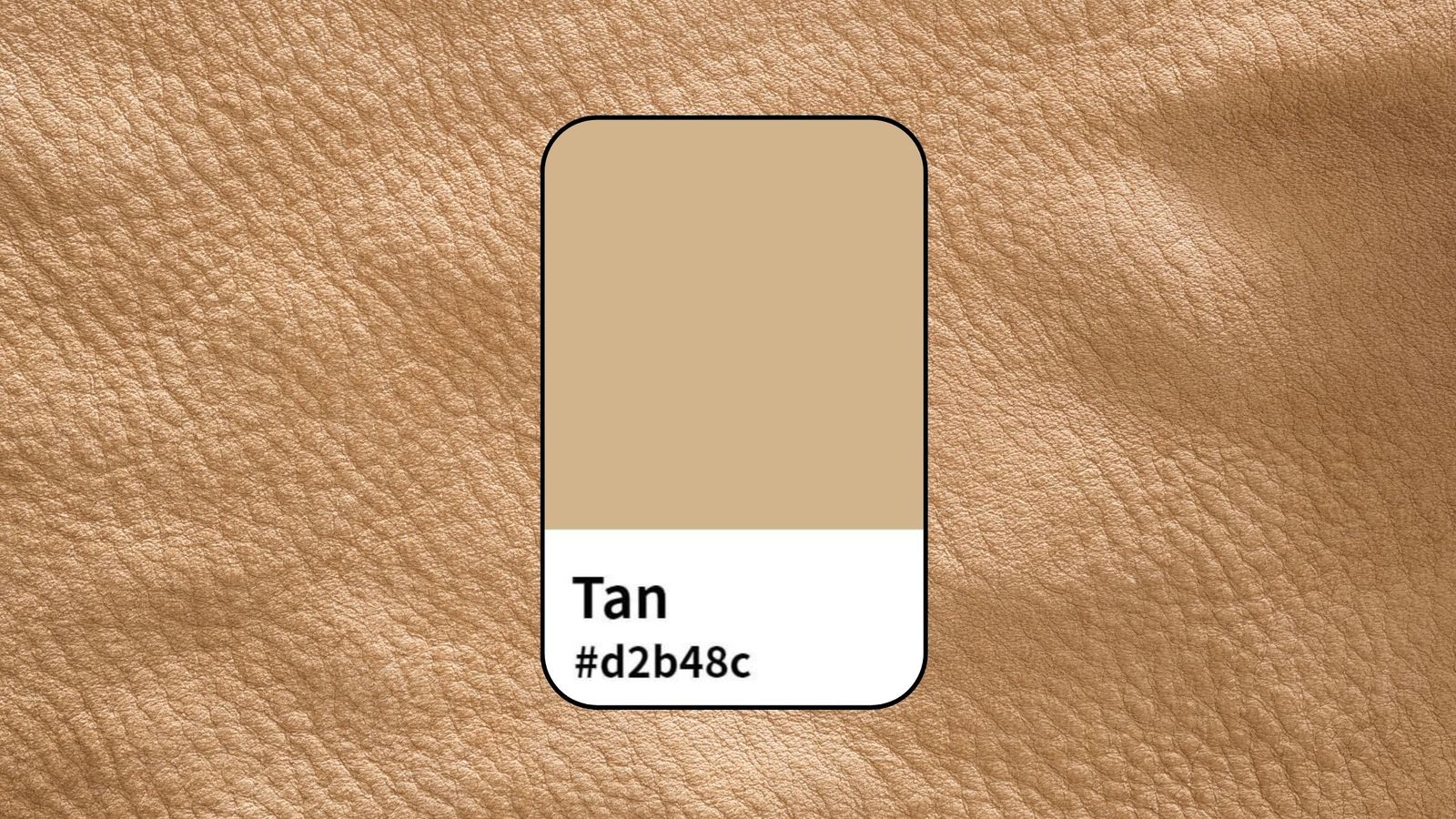 Everything to Know about Tan Color: An Ultimate Guide | PhotoCut