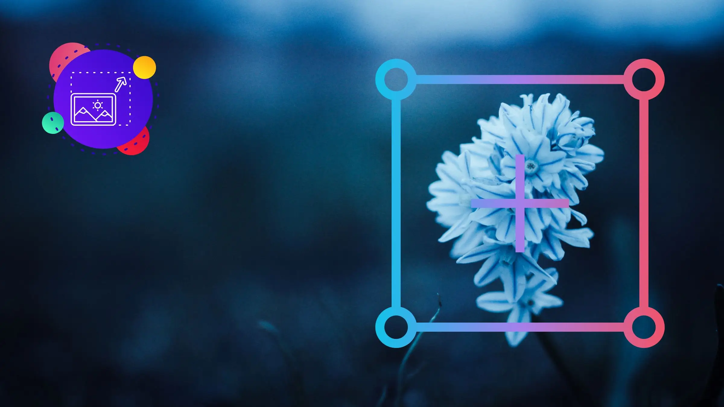 Visual instructions for effectively utilizing the crop tool to improve your images.