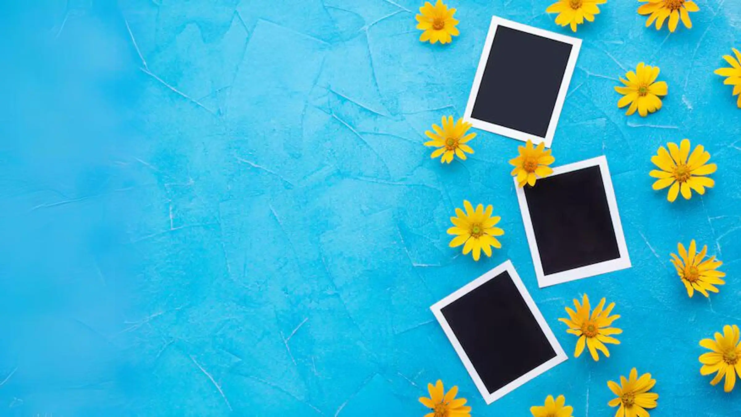 A collection of yellow flowers alongside blank photo frames set against a bright blue backdrop, evoking a sense of warmth.