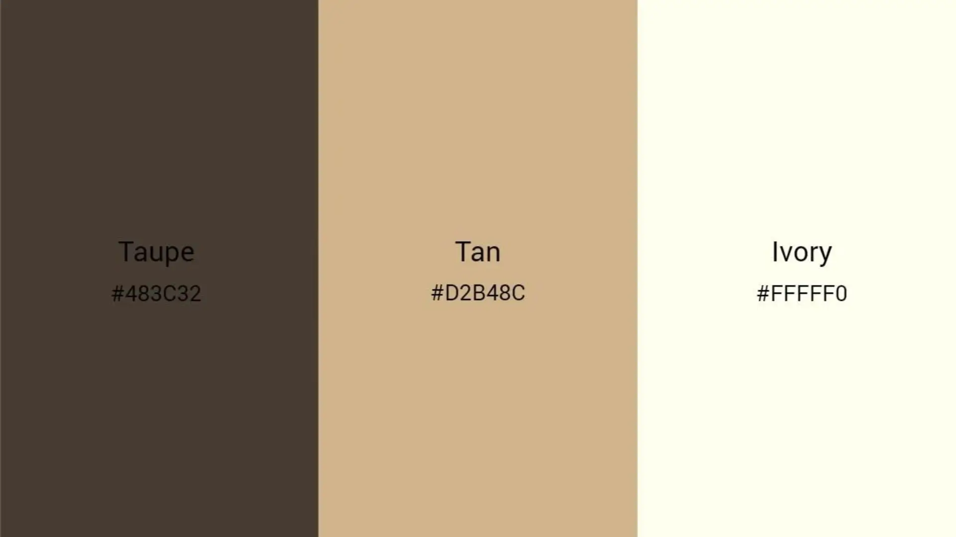 A color palette featuring shades of tan, brown, and white, showcasing a warm and earthy aesthetic.