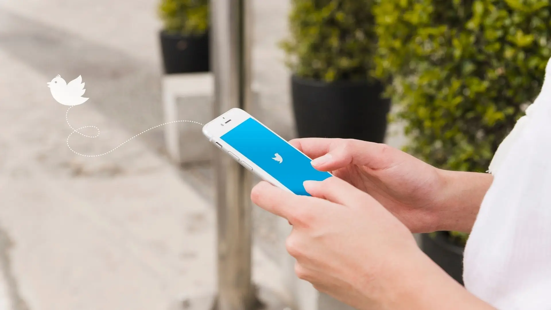A person holding a smartphone displaying the Twitter logo on the screen.