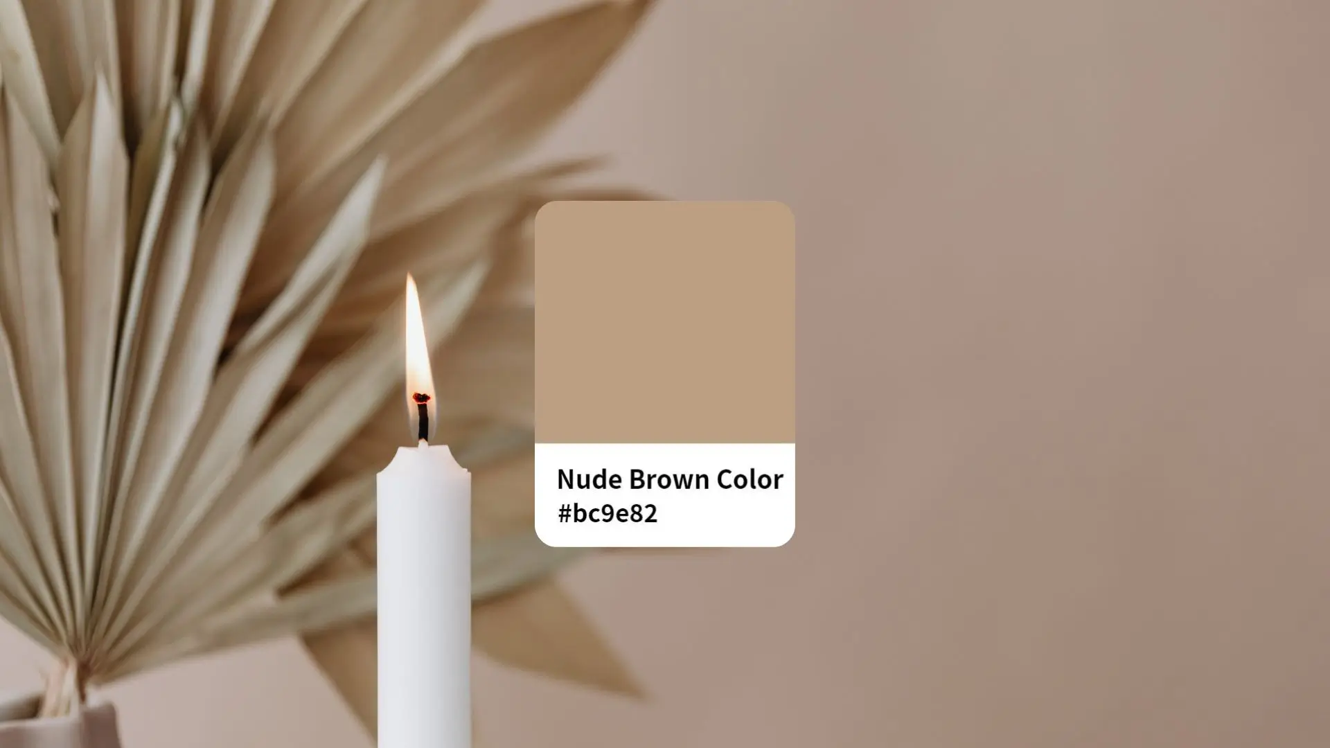A visual representation of Pantone's 2019 Color of the Year, showcasing a rich, earthy brown hue.