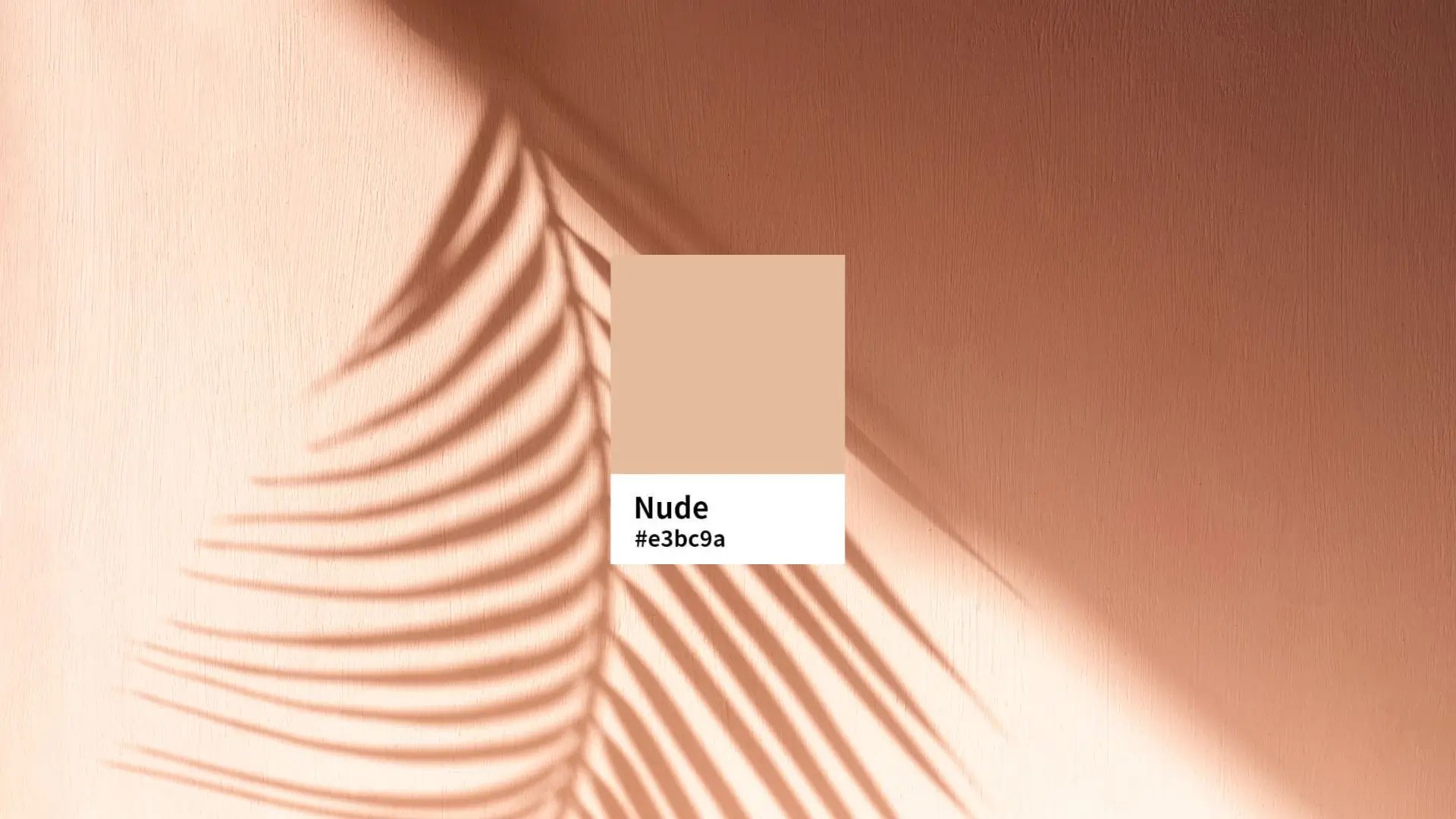 A vibrant palm leaf casts a shadow on a soft pink wall, creating a serene and tropical atmosphere.