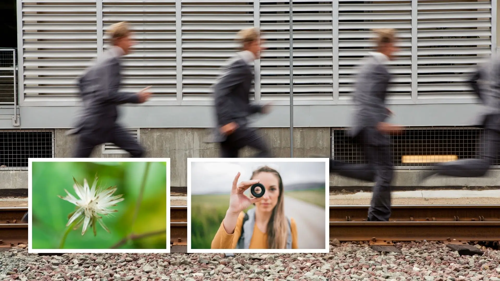 A dynamic image collage showcasing runners on a track paired with a stunning close-up of a flower.