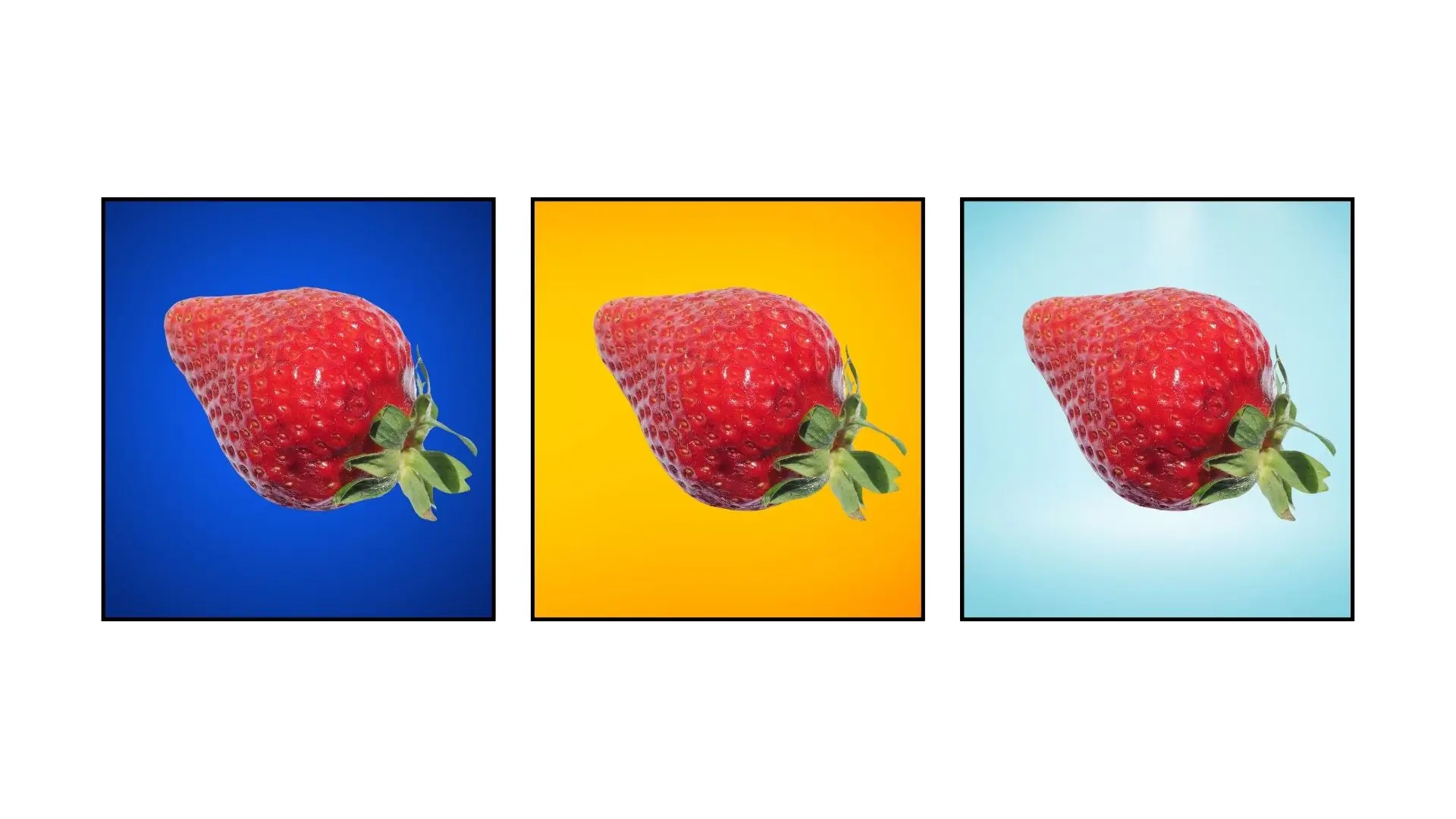 Three vibrant strawberries displayed against a blue and yellow background, showcasing their rich red color and fresh appearance.