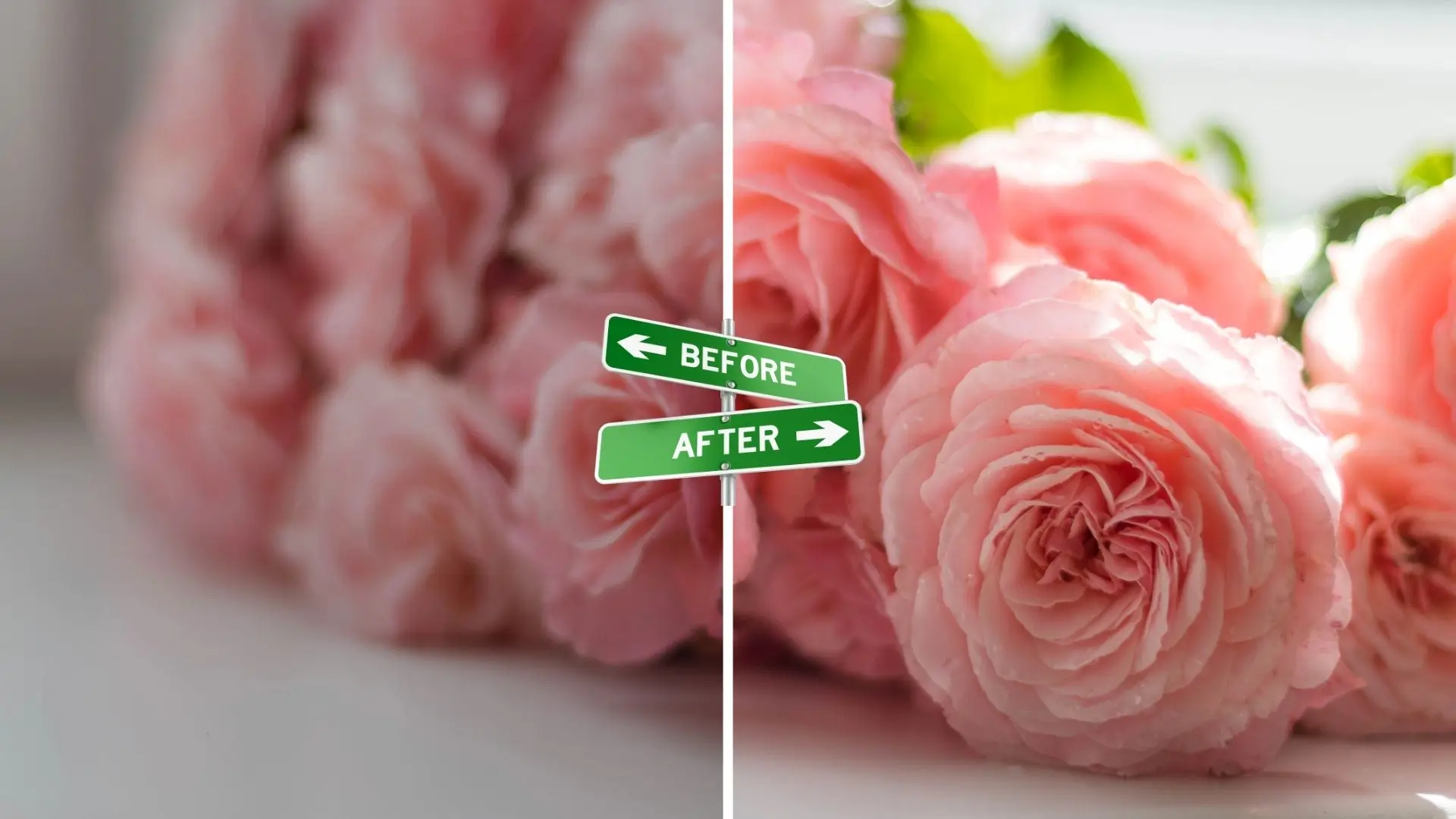Before and after images showcasing the vibrant transformation of pink roses in full bloom.