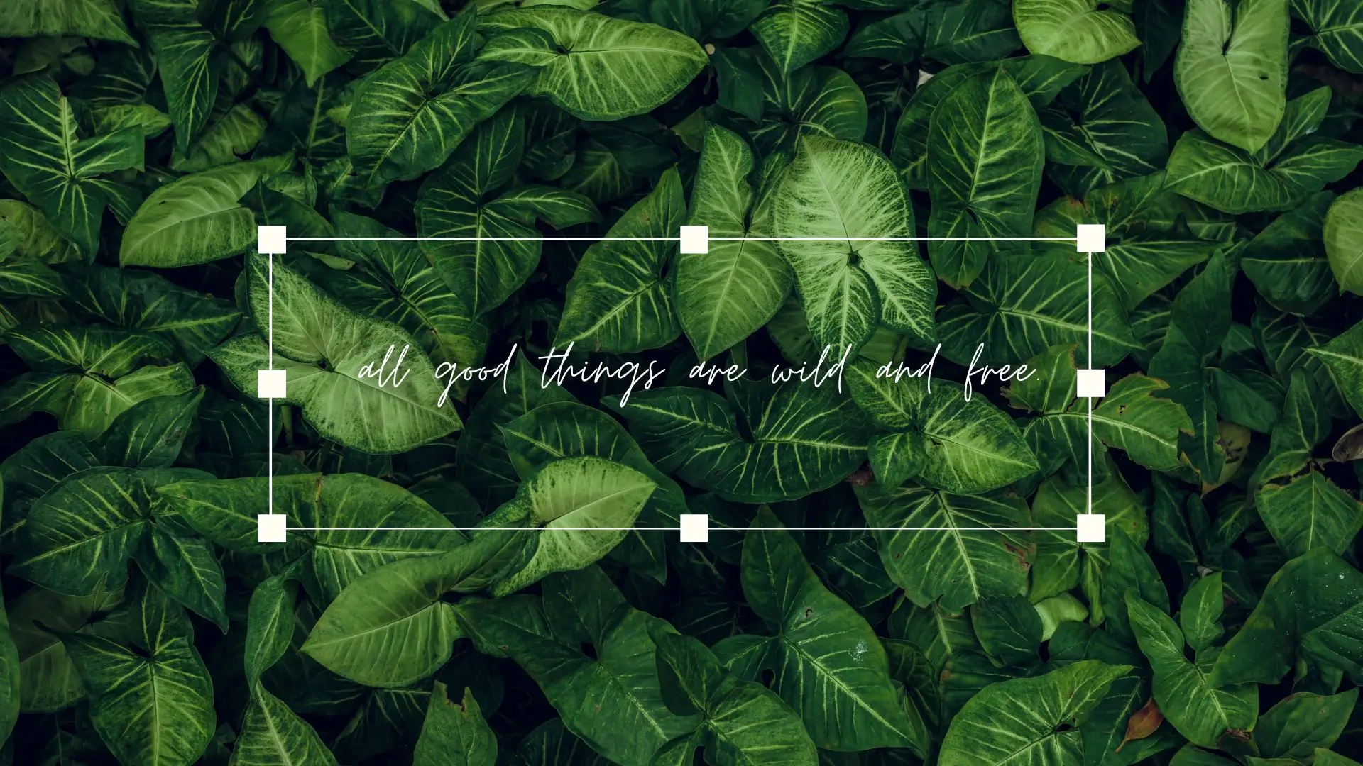 Inspirational quote graphic featuring the phrase "All things we need are here" against a serene background.