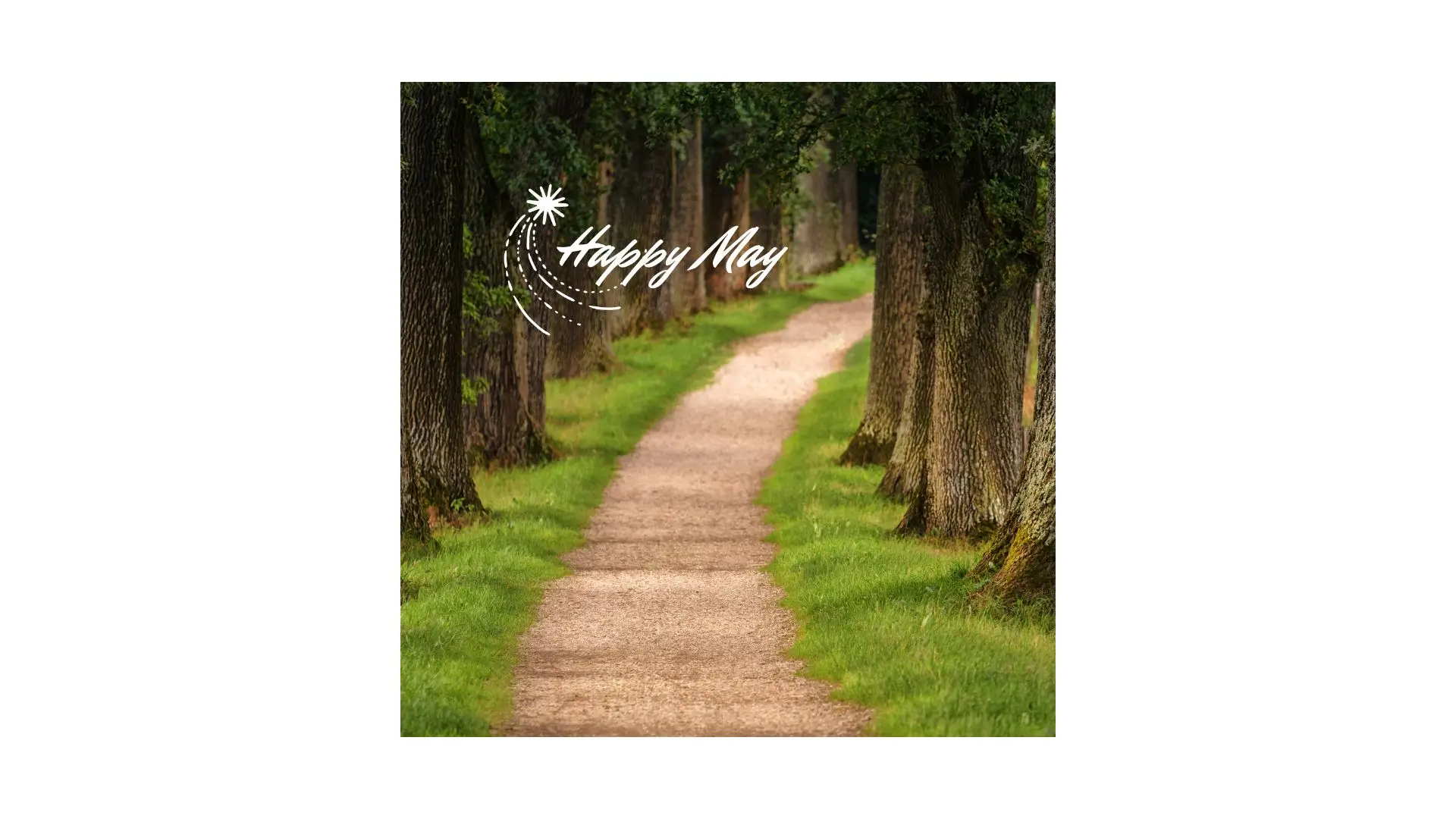 A cheerful greeting card featuring vibrant colors and a joyful message for celebrating a happy day.
