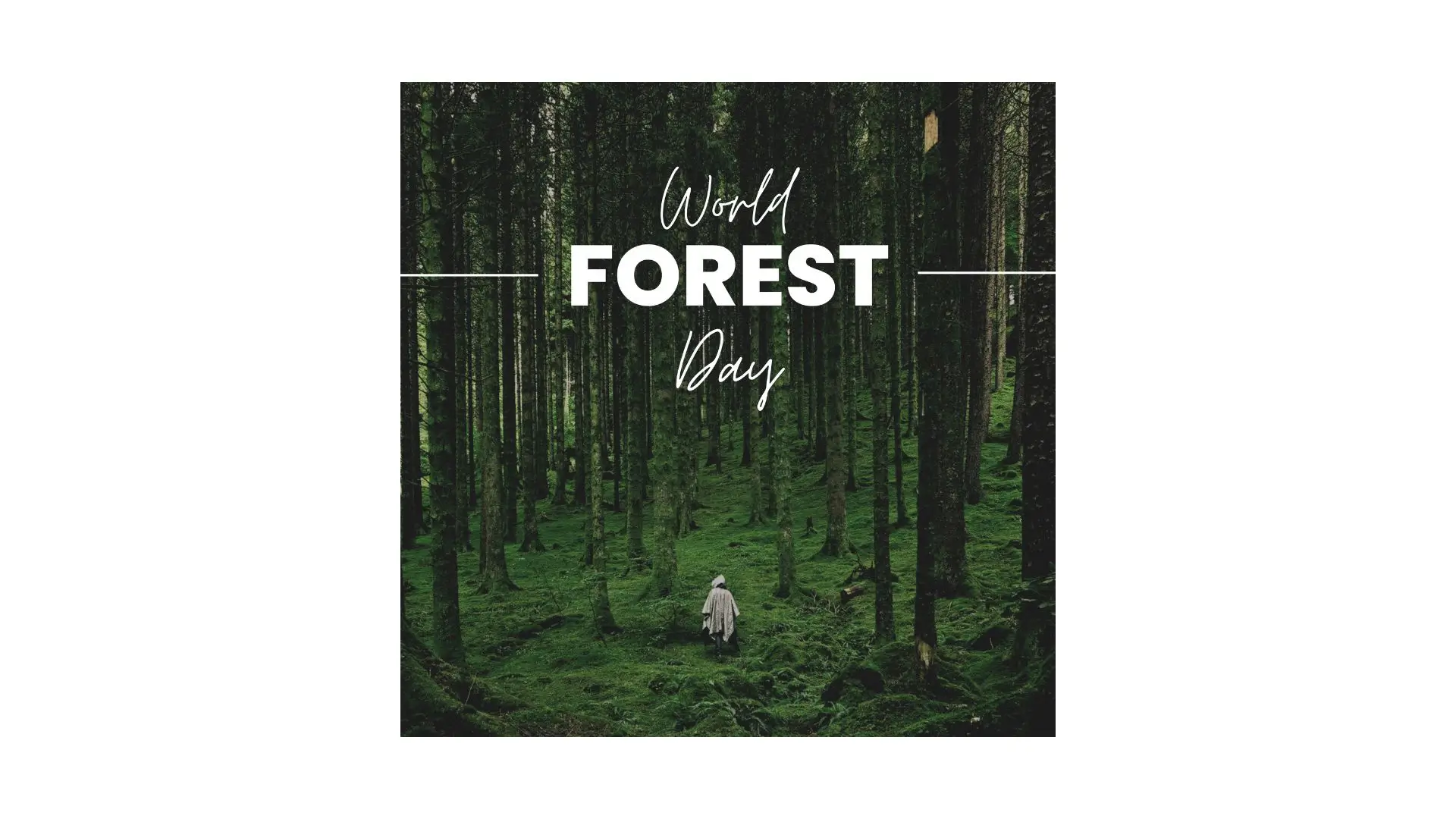 Poster for World Forest Day featuring vibrant trees and nature, promoting awareness and conservation of forests.