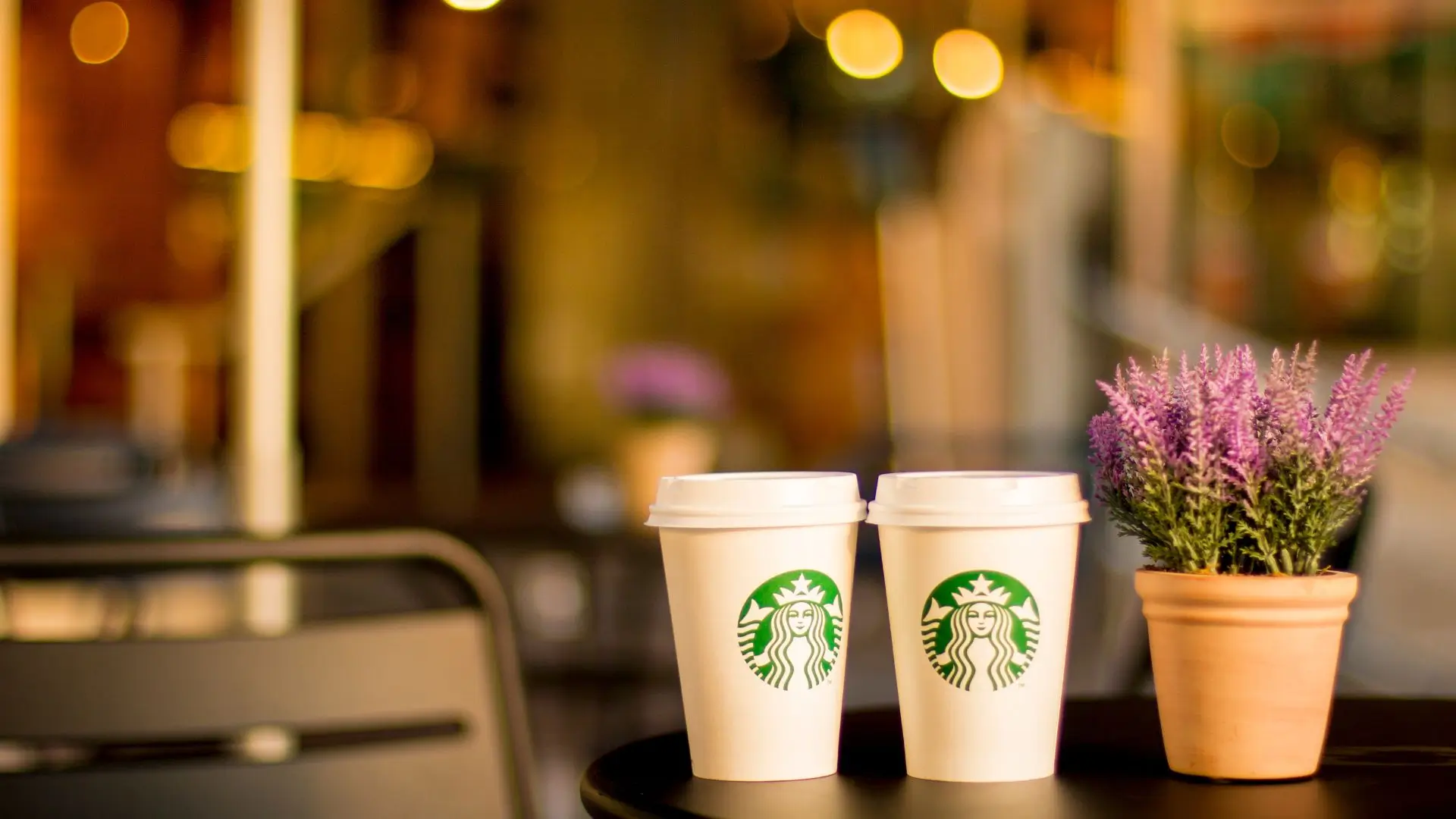Two Starbucks coffee cups sit on a table beside a vibrant flower pot, creating a cozy café atmosphere.