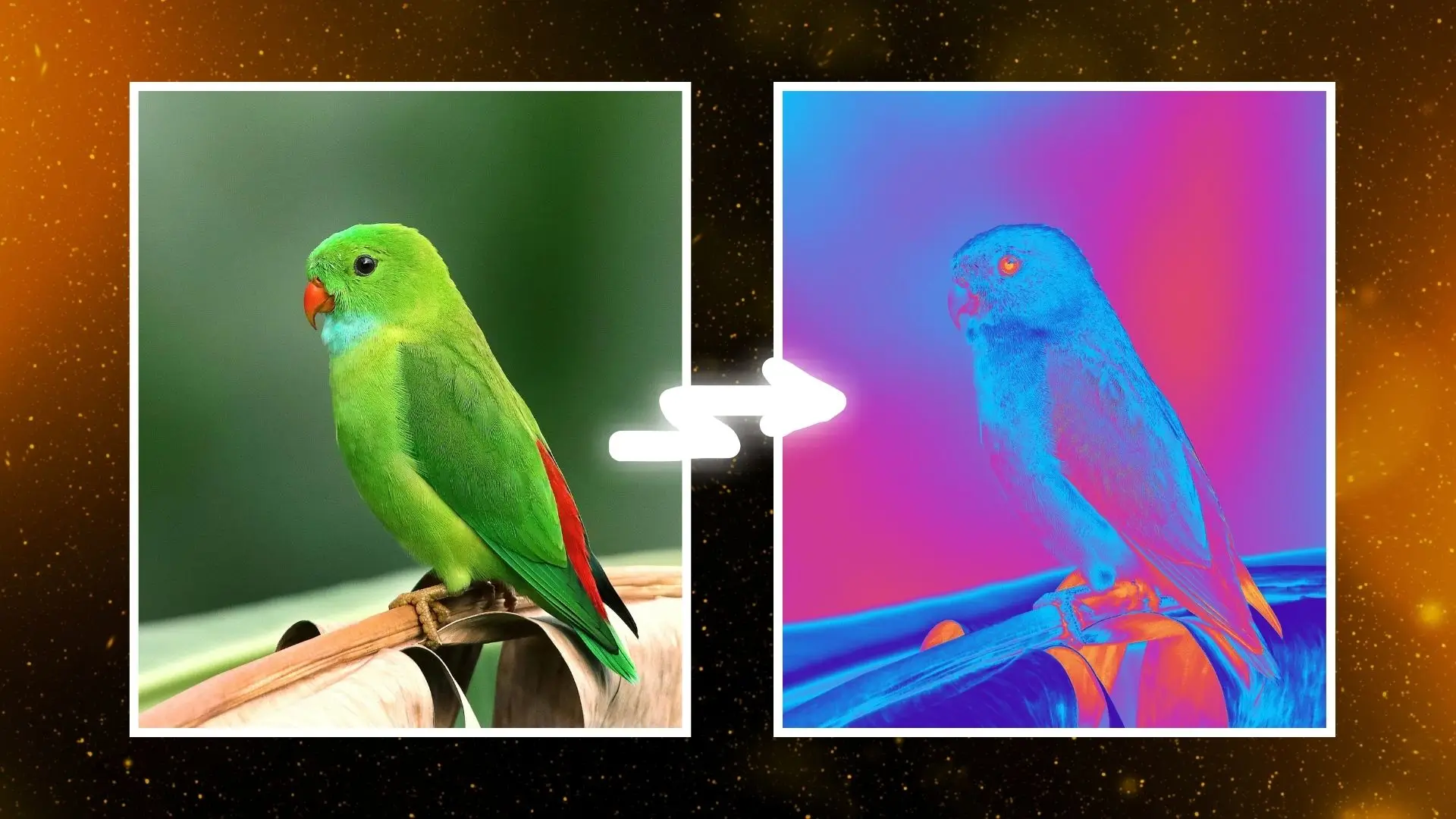 A bird perched on a branch, surrounded by a vibrant green and red background, creating a striking visual contrast.