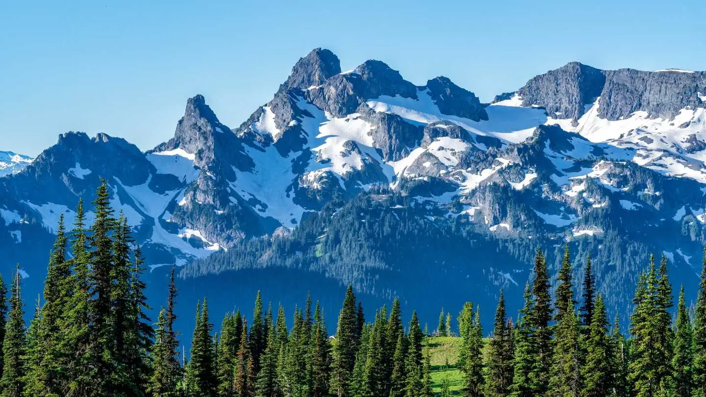 Snow-capped mountains rise majestically above a forest of evergreen trees, creating a stunning natural landscape.