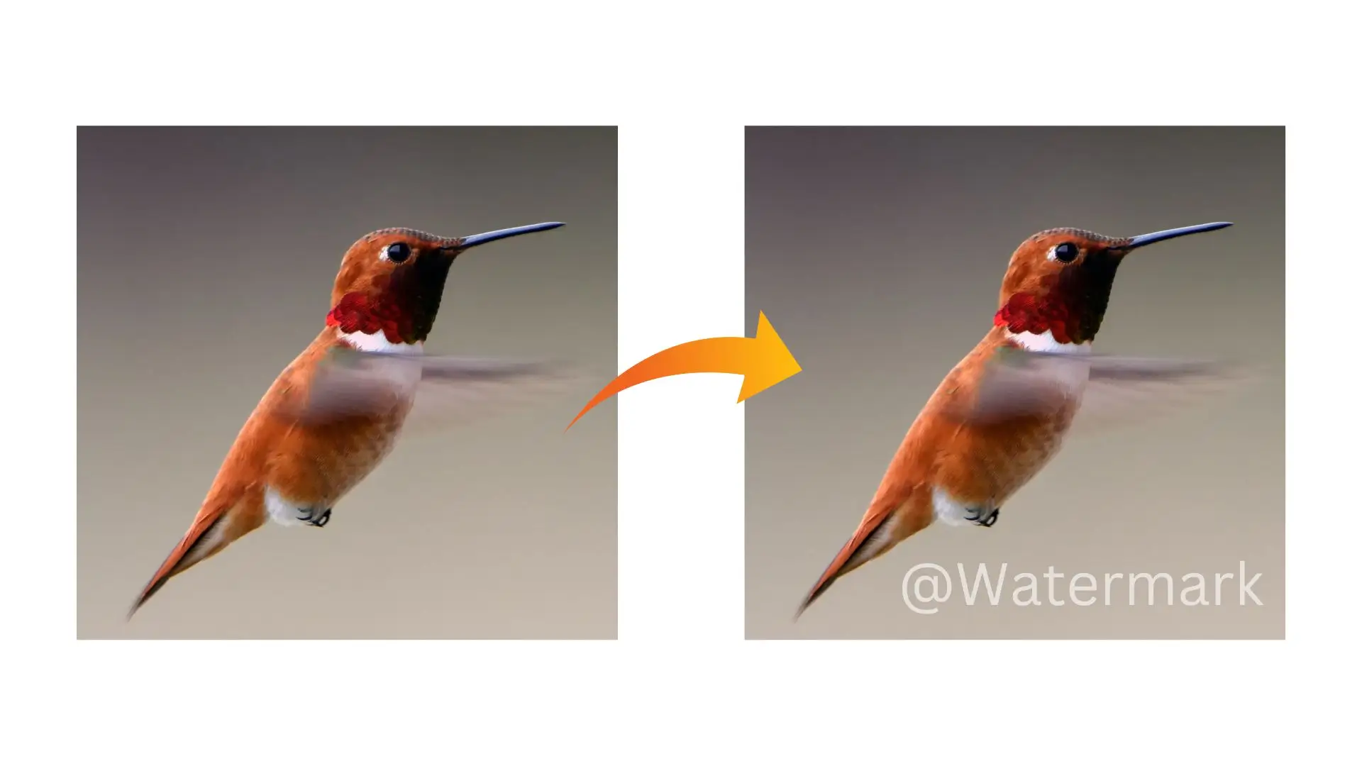 Two images of a hummingbird in flight, showcasing its vibrant colors and agile movements against a clear sky.