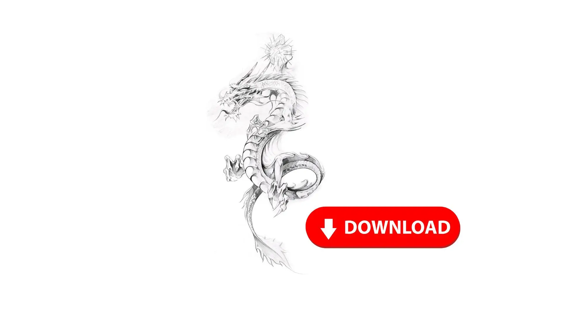 A detailed drawing of a dragon with a prominent red arrow pointing towards it, showcasing its fierce features.