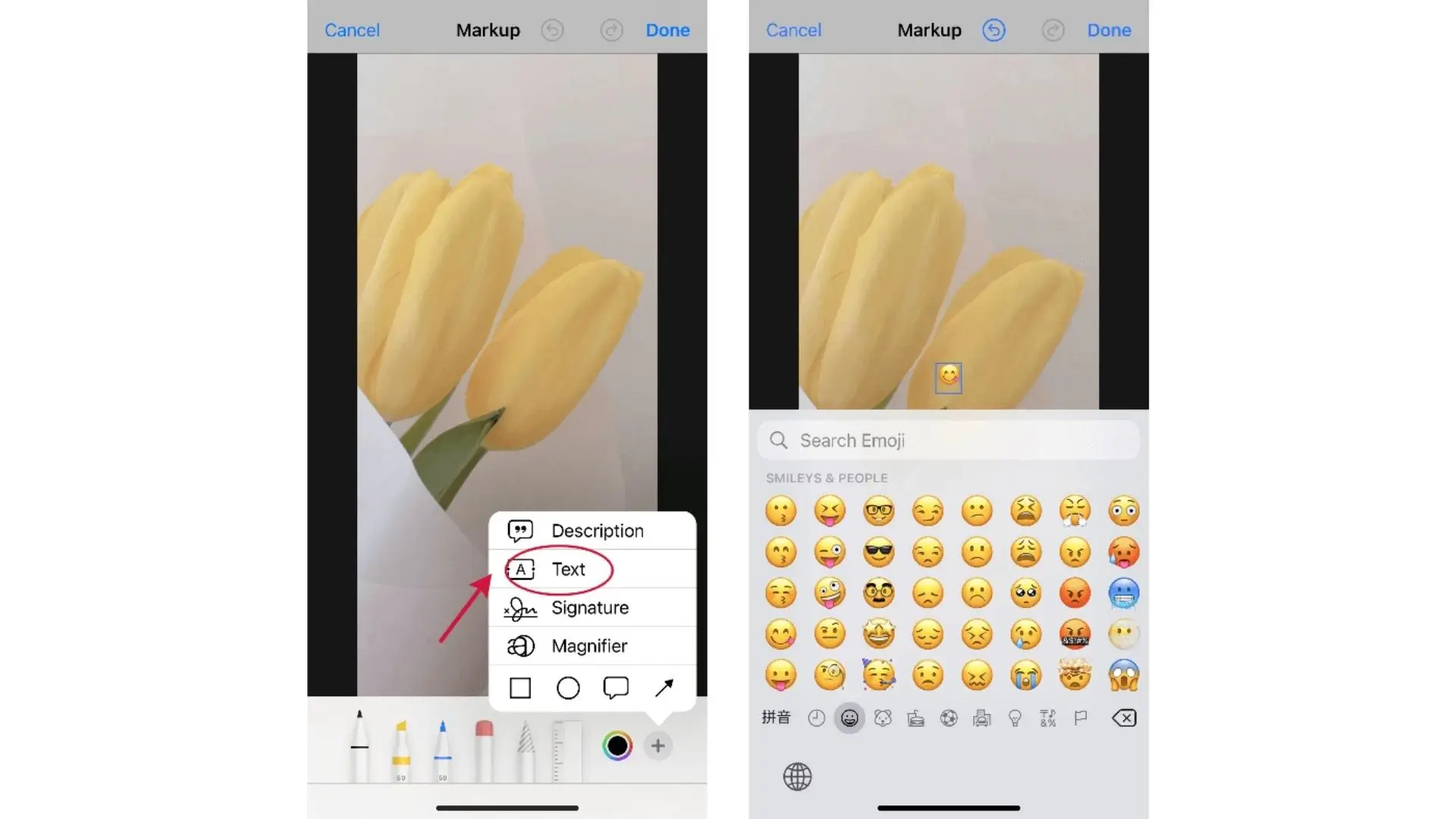 An image featuring two screens with distinct emojtors and a bright yellow flower, highlighting a blend of technology and nature.